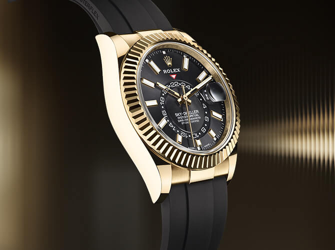SKY-DWELLER